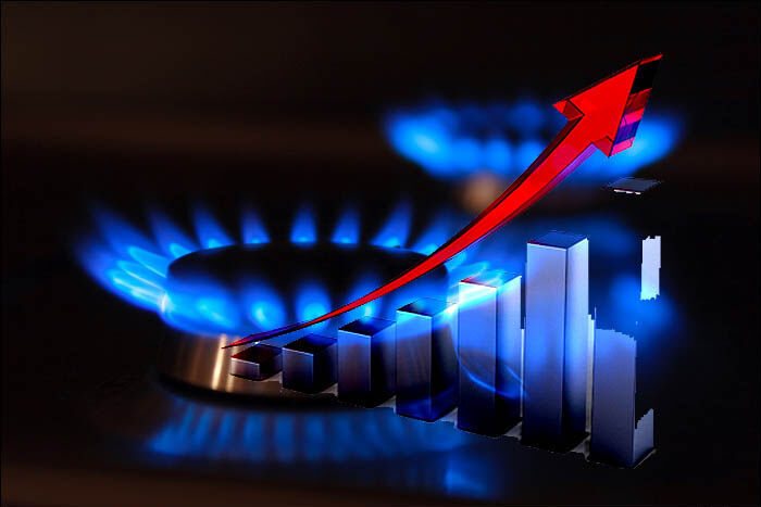 مصرف گاز در بخش خانگی به ۶۶۰ میلیون مترمکعب رسید/ هموطنان برای مدیریت مصرف گاز یاری کنند